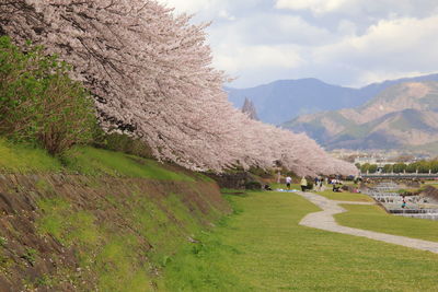 Scenic view of field and mountains against sky