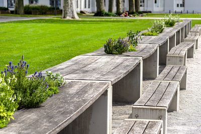 Benches and tables with flowers arranged in a row in the park, in the background a large building.