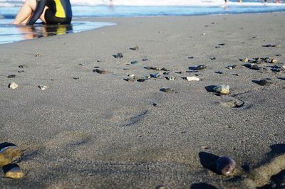 Low section of person sitting at beach