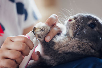 Midsection of woman with cat