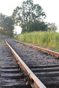 View of railroad tracks along trees