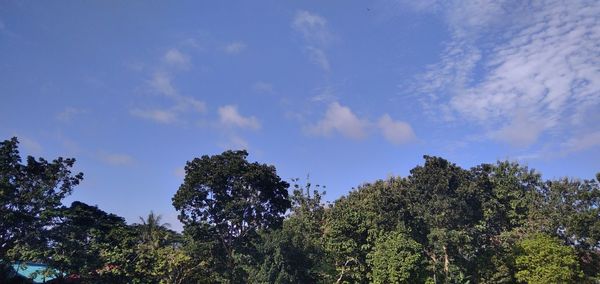 Panoramic views in the morning at bojong sari, indonesia