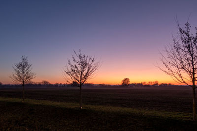 Scenic view of field against clear sky during sunset