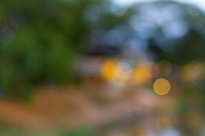 Defocused image of tree