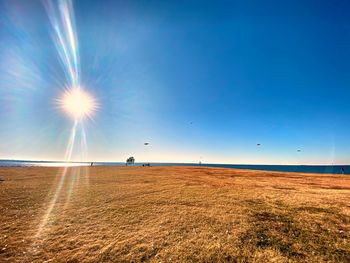 Scenic view of field against bright sun