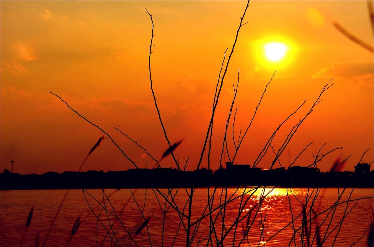 sunset, sun, orange color, water, silhouette, beauty in nature, scenics, sky, nature, tranquility, plant, reflection, tranquil scene, sunlight, idyllic, lake, growth, outdoors, no people, stem