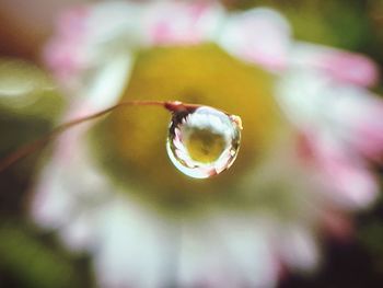 Close-up of water drop on leaf