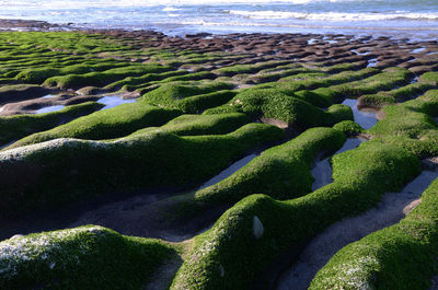 Scenic view of sea