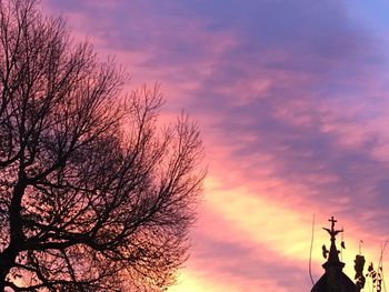 Low angle view of silhouette tree against sky at sunset