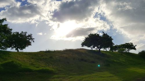 Scenic view of grassy field against cloudy sky