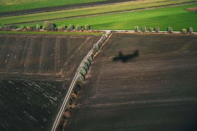 High angle view of agricultural field