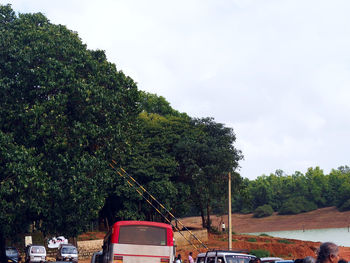 Low angle view of trees against sky