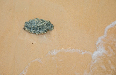 High angle view of sand on beach