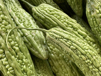 Pile of bitter melon in market. this image suitable for natural texture and background.