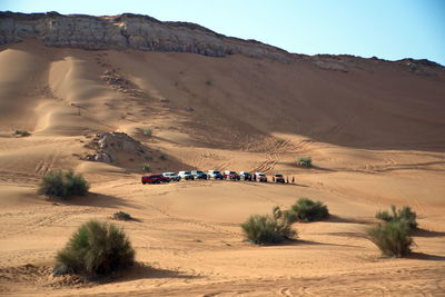 Around nazwa and pink rock desert, viewing of the sand and plant in the desert, sharjah, uae