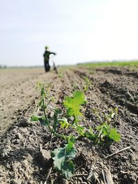 Close-up of woman working on field