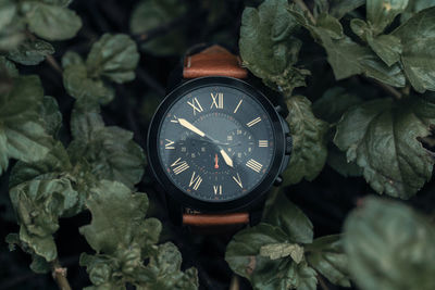 Black watch with brown color strap on green plant 