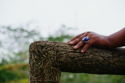 Cropped hand of woman wearing ring on wooden railing