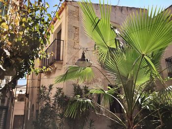 View of building with trees in background