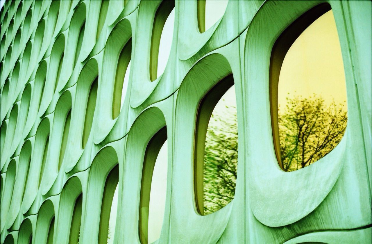 green color, built structure, architecture, pattern, low angle view, backgrounds, full frame, design, growth, wall - building feature, building exterior, no people, day, outdoors, leaf, creativity, in a row, art, plant, shape