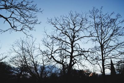 Low angle view of bare trees against sky