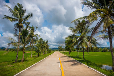 Road amidst trees against sky