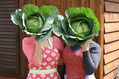 Close-up of women holding cabbages