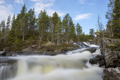 Low angle view of waterfall in forest against sky