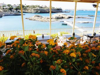 Scenic view of sea and plants on beach