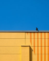 Low angle view of bird on building against clear blue sky