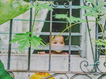 Girl looking through window