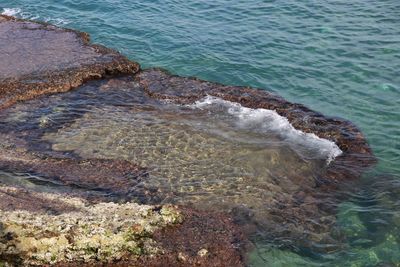 High angle view of rocks on beach