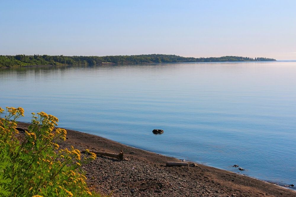 tranquil scene, water, tranquility, nature, scenics, lake, no people, outdoors, beauty in nature, day, clear sky, tree, sky