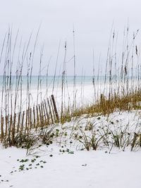 Scenic view of sea against sky during winter