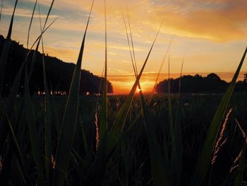 Scenic view of landscape at sunset