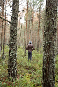 Rear view of man walking in forest