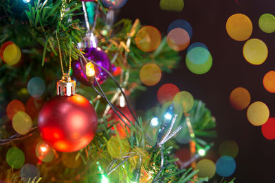 Close-up of illuminated christmas tree