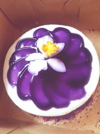 High angle view of purple flower in container