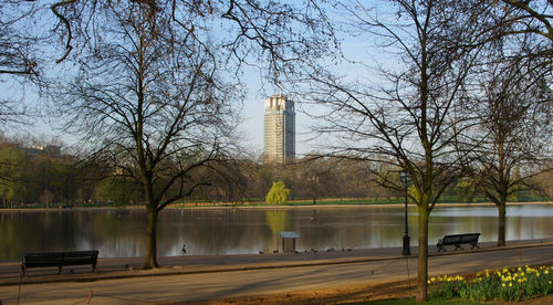 Trees and tower against sky