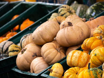 Close-up of pumpkins for sale at market stall