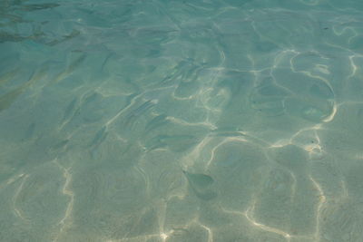 High angle view of swimming pool in sea