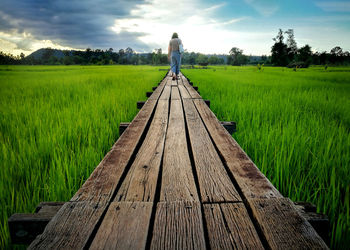 Boardwalk on field against sky