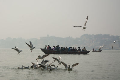 Seagulls flying over river ganga against sky