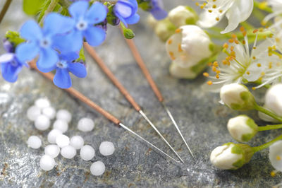 Alternative medicine with acupuncture and homeopathy