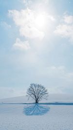 Bare tree on snow covered field against sky
