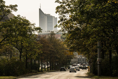 Cars on street in city