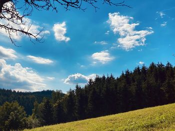 Trees growing on field against sky