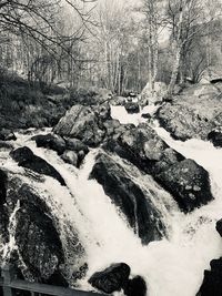 Scenic view of stream in winter