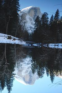 Reflection of trees in lake during winter