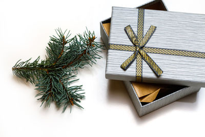 Close-up of christmas tree in box